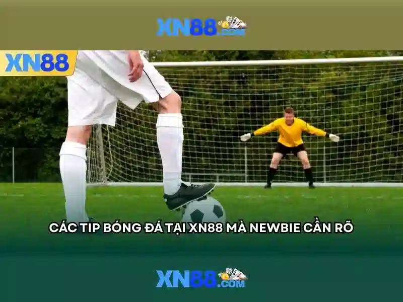 💎vua nha cai mt💎