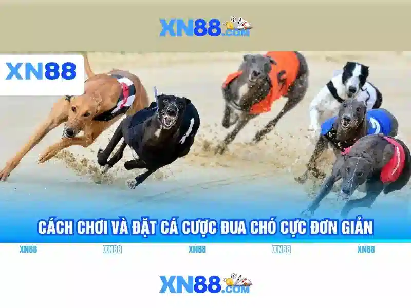 💎kèo nhà cái tenisweb💎