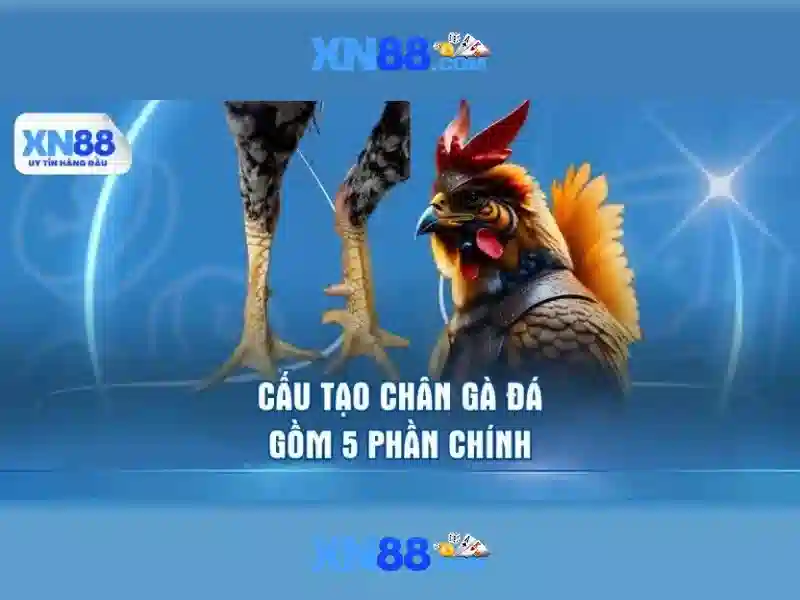 tải xn88 - XN88