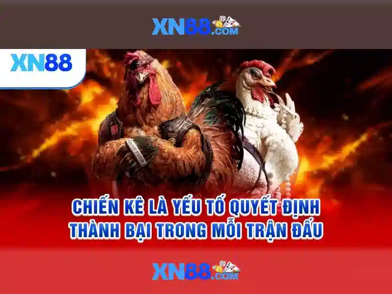 💎15 nhà cái💎