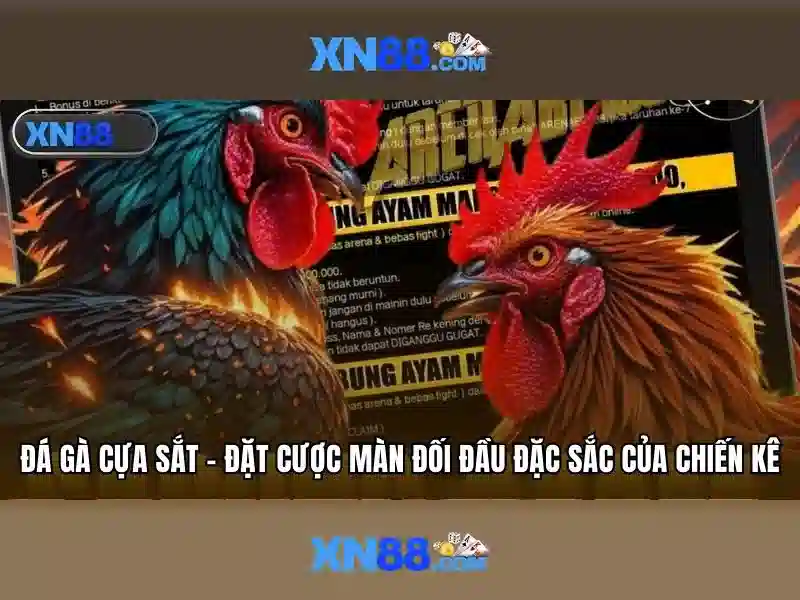 💎phim nhật ký cuộc sống của hồ ca💎