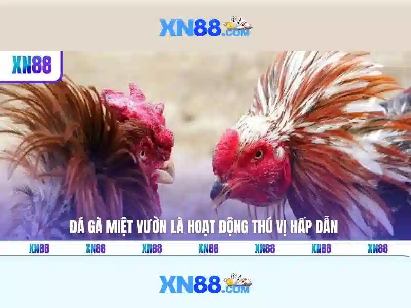 💎xn88 ole77.net💎