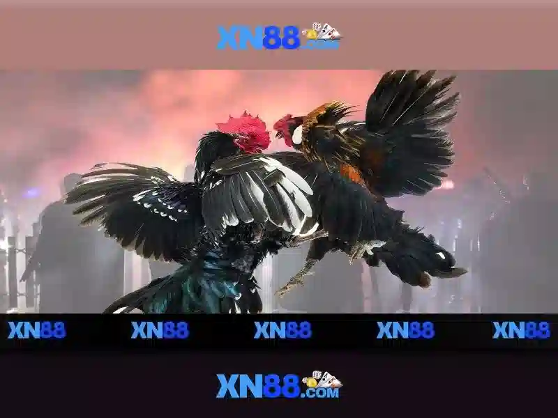 💎nhà cái kéo top💎