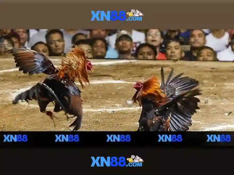 💎bóng đá trực tuyến kèo nhà cái xôi lạc💎