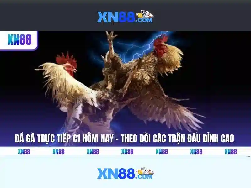 💎xem bong da truc tuyen keo nhà cái💎