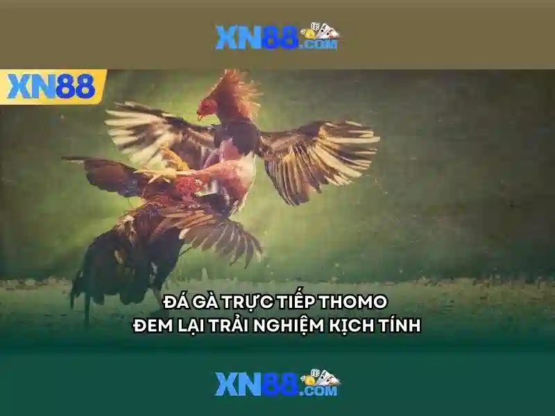 💎bắc minh đã và danh khả nettruyen💎