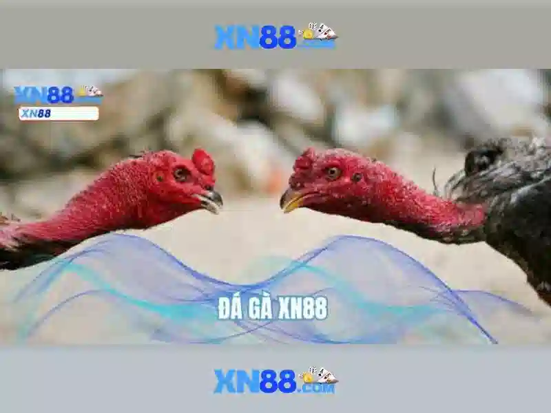 💎kèo nhà cái tỷ lệ tỷ số💎