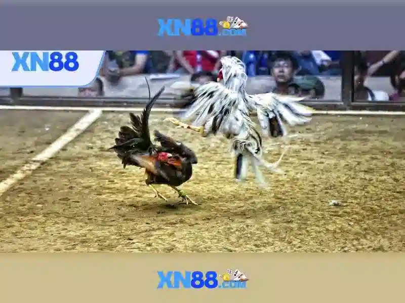 💎ultra panda slots💎