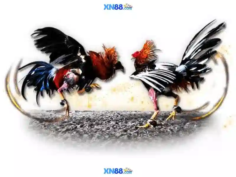 💎888slot mail💎