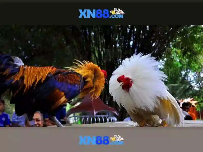 💎ambthai slot💎