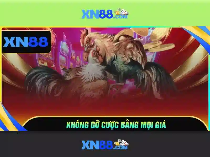 💎bài đánh giá về shop lọ lem bạc liêu💎