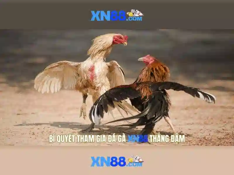 Tin Tức - XN88