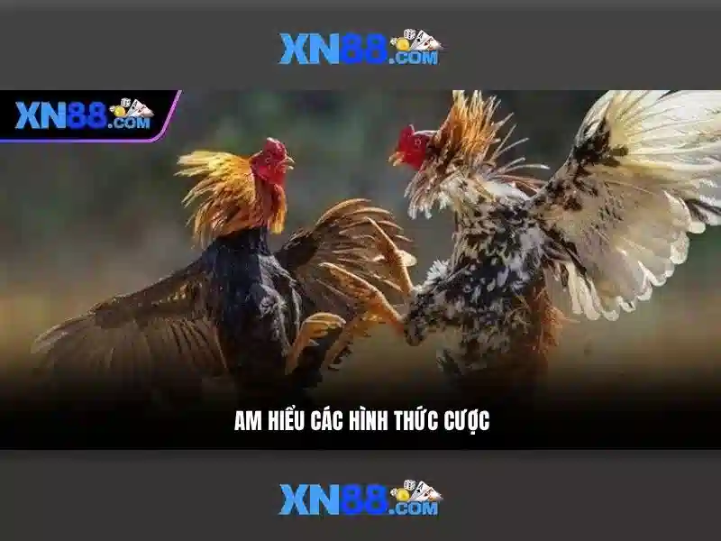 💎vụ đánh bạc ở hải phòng mới nhất💎