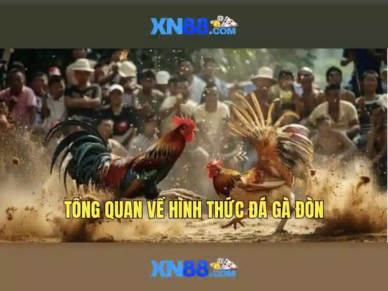  slot Việt Nam - XN88