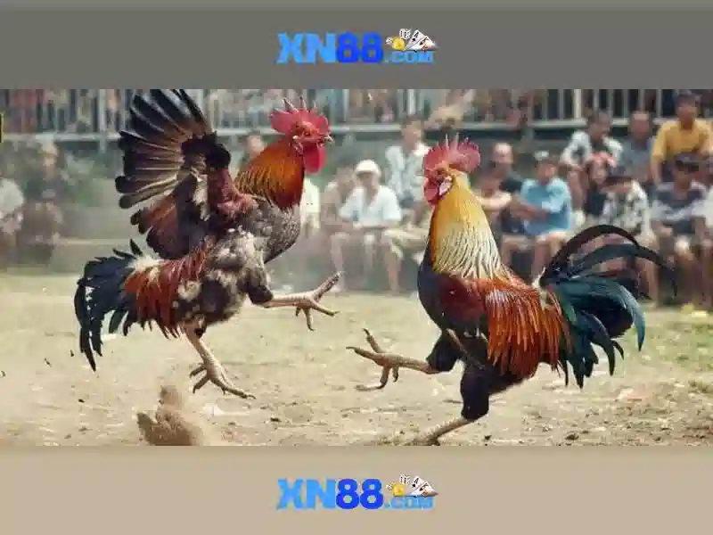 💎xn88 slot title💎