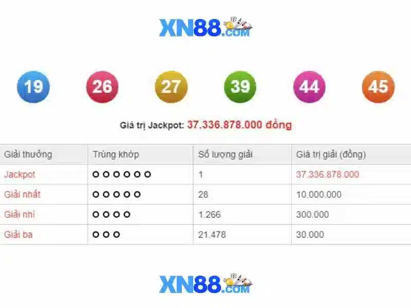  hoa hồng XN88 - XN88