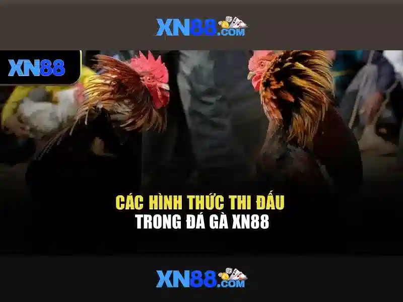 💎teang ca cuoc bong da💎