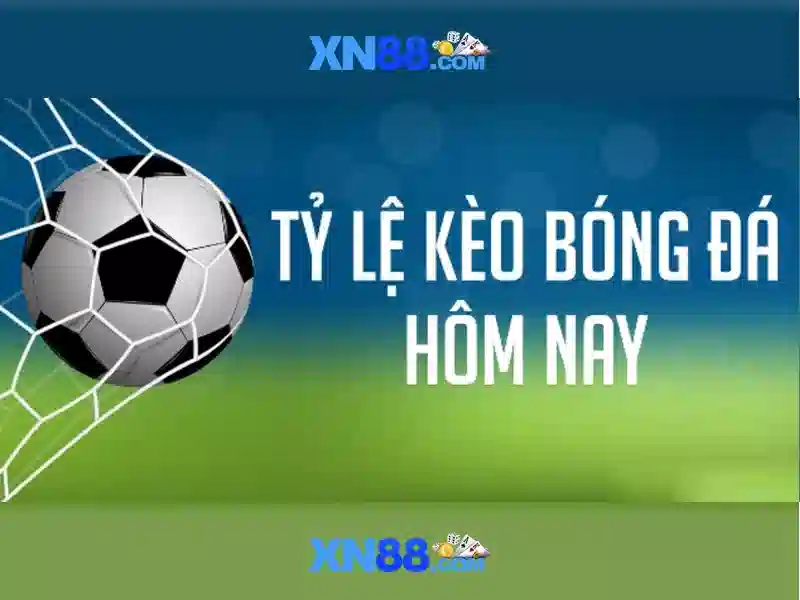 💎hb88 apk download for android💎