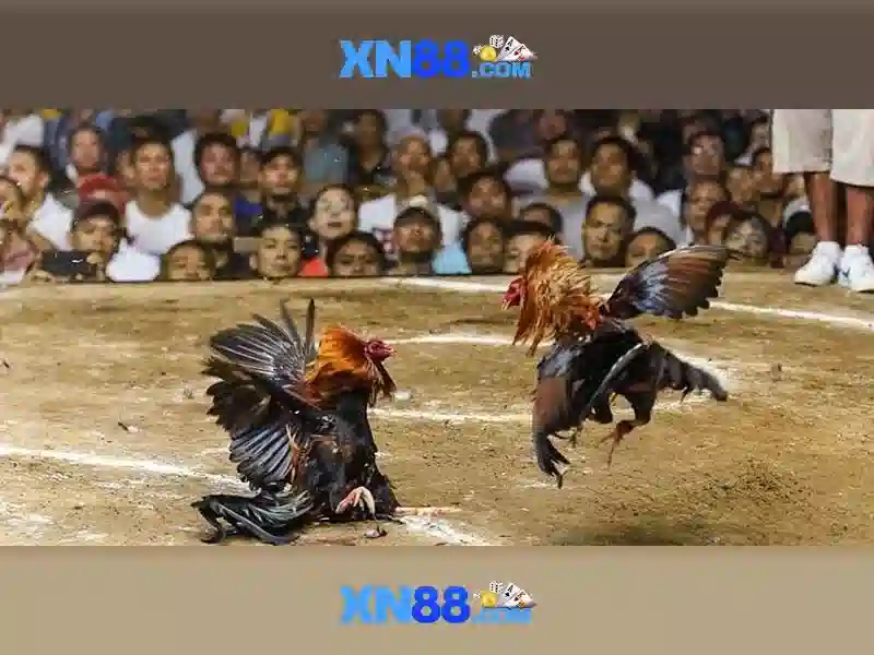 XN88 – Trang Chủ | Game Slot | Casino | Thể Thao 2026 - XN88