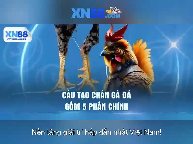 💎tỷ lệ cá cược euro 2016 chung kết💎