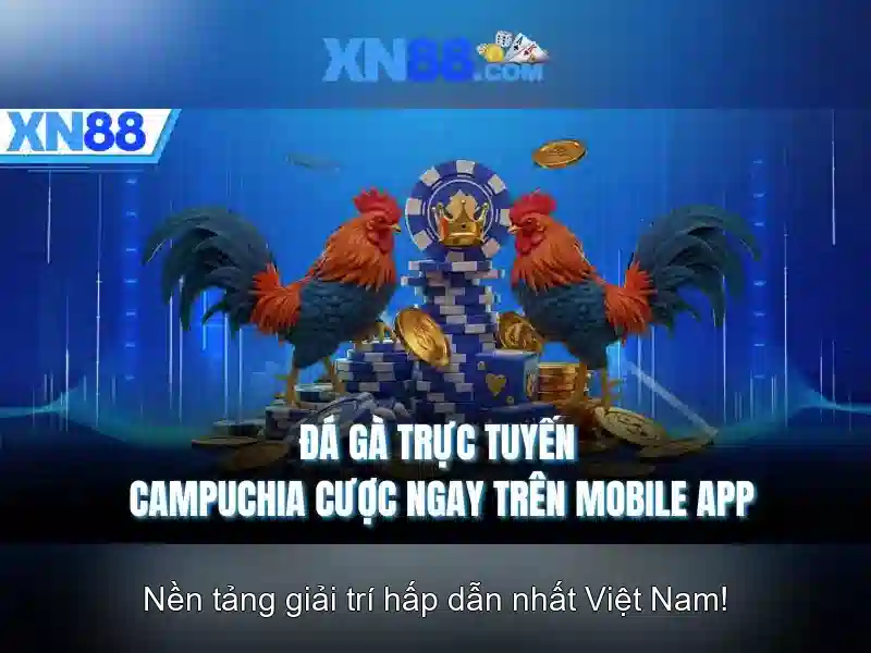 💎cải tạo lại nhà cũ 2021💎