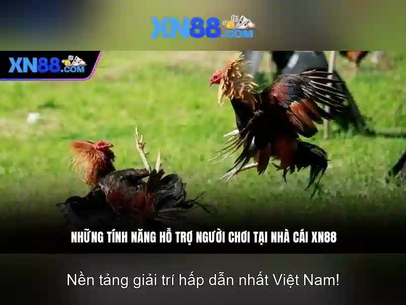 Hướng dẫn đăng ký tài khoản XN88 | Hướng dẫn nạp tiền và rút tiền tại XN88 | xn88 com - XN88