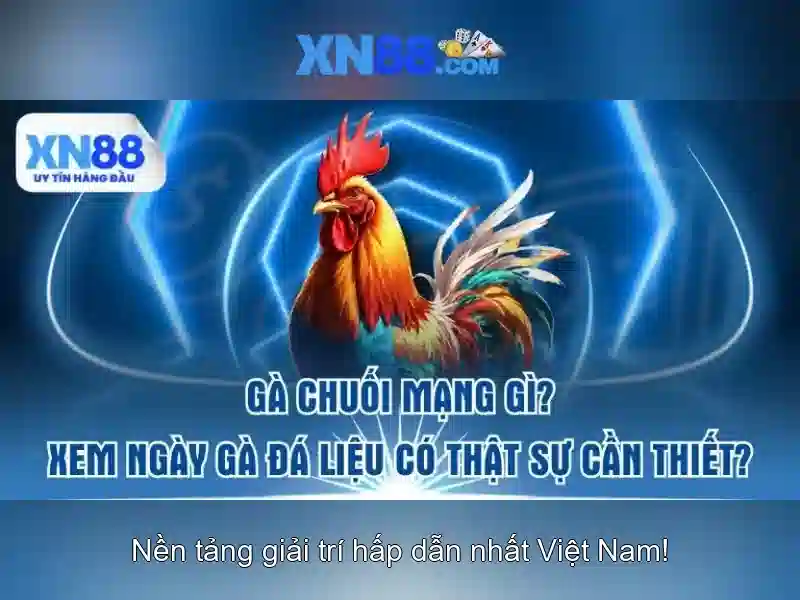XN88 - Trang Chủ XN88 | Link Vào XN88 Win 2026 - XN88
