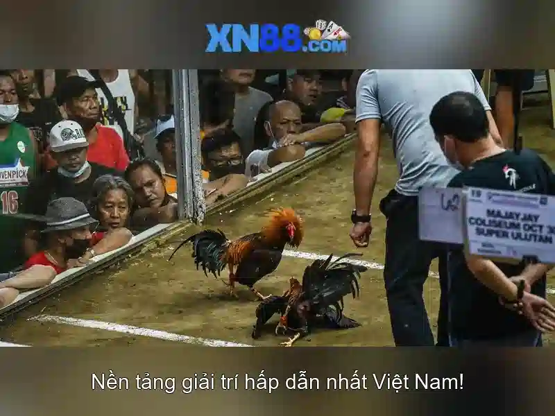 💎free bonus online slots💎