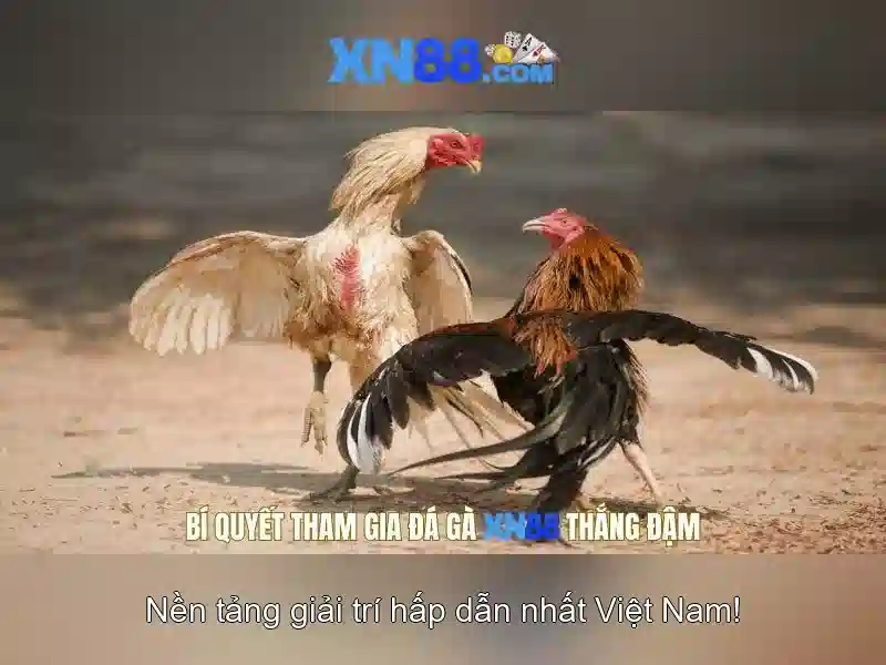 💎kim quy slot💎