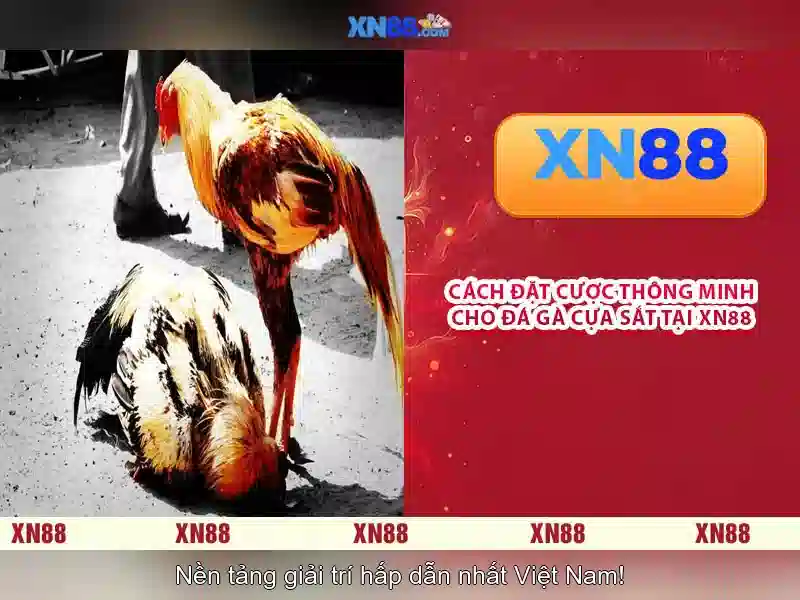 💎hb88 đang nhap💎 - hb88 uy tín - hb88 chăm sóc khách hàng