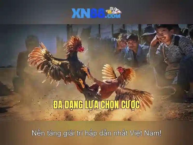 XN88 – Trang Chủ XN88 Chính Thức Không Bị Chặn 2026 - XN88