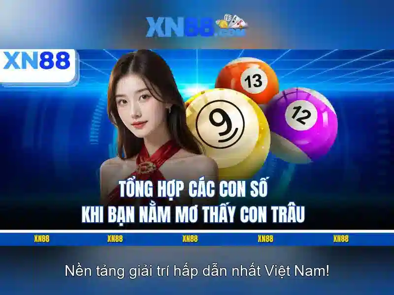  điều khoản sử dụng - XN88