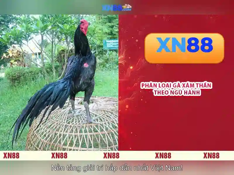 xn88: Hướng dẫn tối ưu nội dung cho trang cược trực tuyến an toàn và hiệu quả