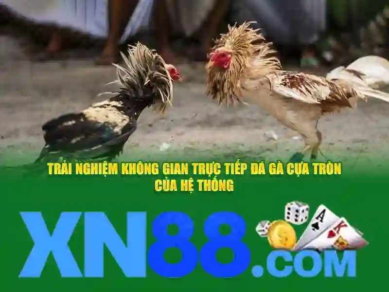 💎xem bóng đá trục tiếp kèo nhà cái💎